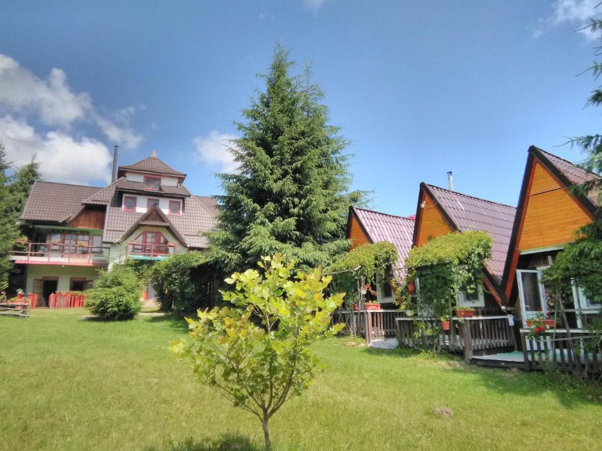 Casa Paltin Vila Si Cabane Poiana Stampei Exterior foto
