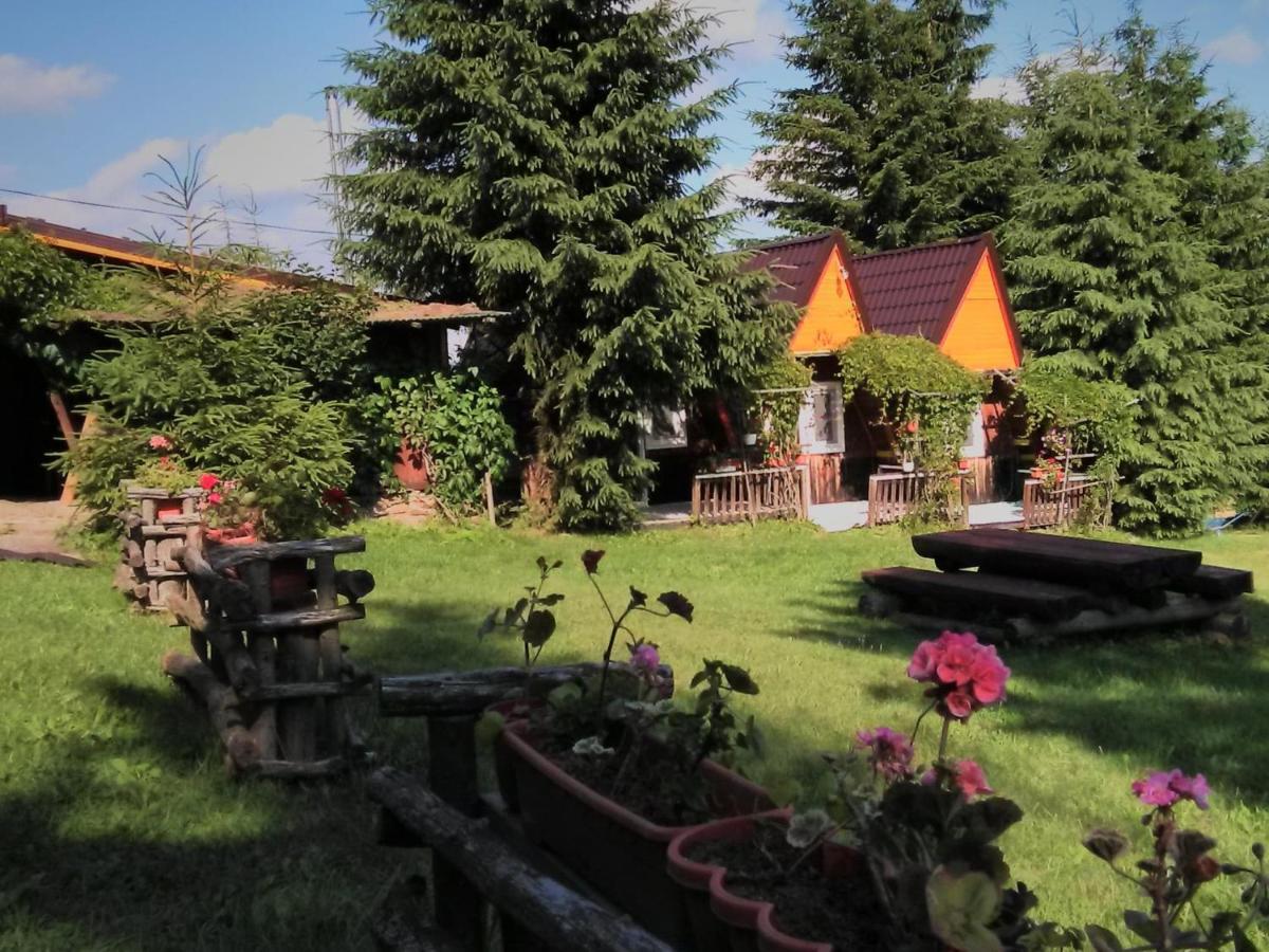 Casa Paltin Vila Si Cabane Poiana Stampei Exterior foto