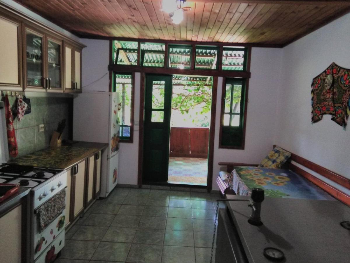 Casa Paltin Vila Si Cabane Poiana Stampei Exterior foto