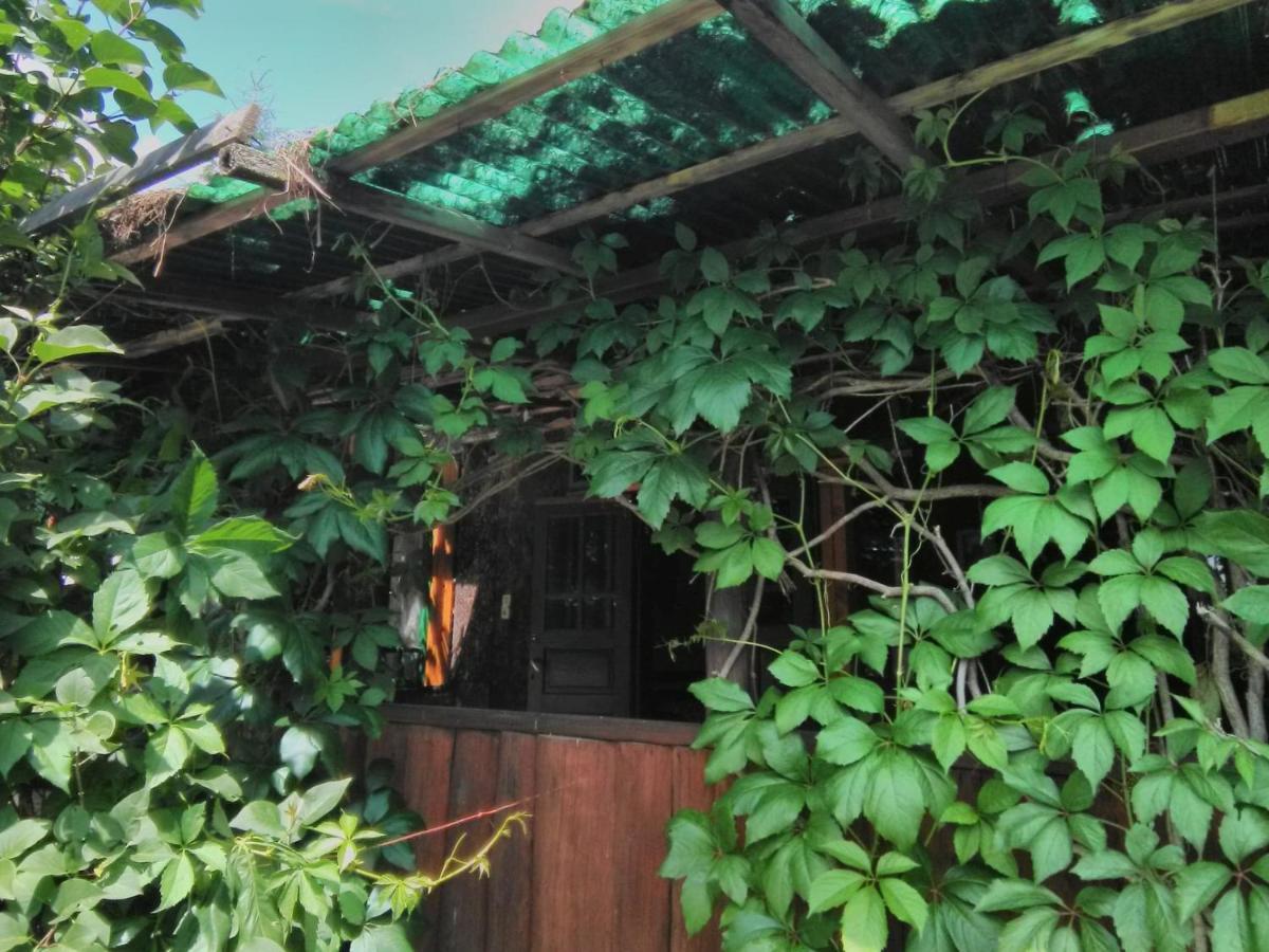 Casa Paltin Vila Si Cabane Poiana Stampei Exterior foto