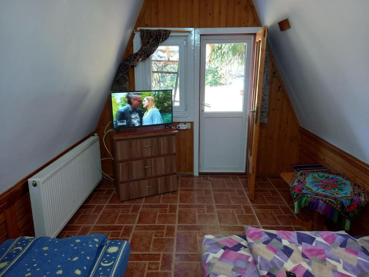 Casa Paltin Vila Si Cabane Poiana Stampei Exterior foto