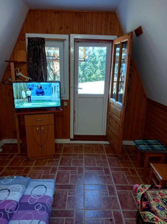 Casa Paltin Vila Si Cabane Poiana Stampei Exterior foto