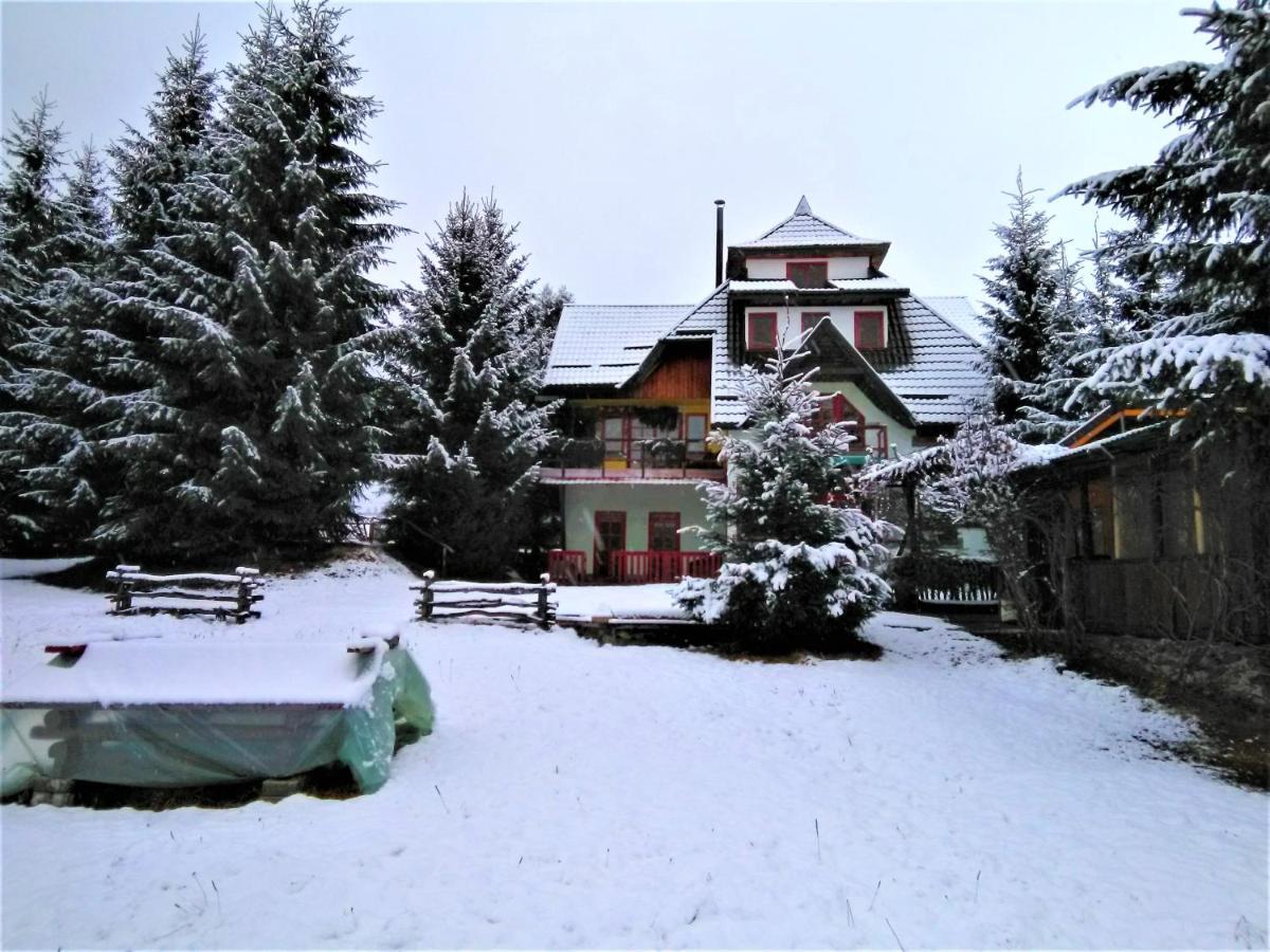 Casa Paltin Vila Si Cabane Poiana Stampei Exterior foto