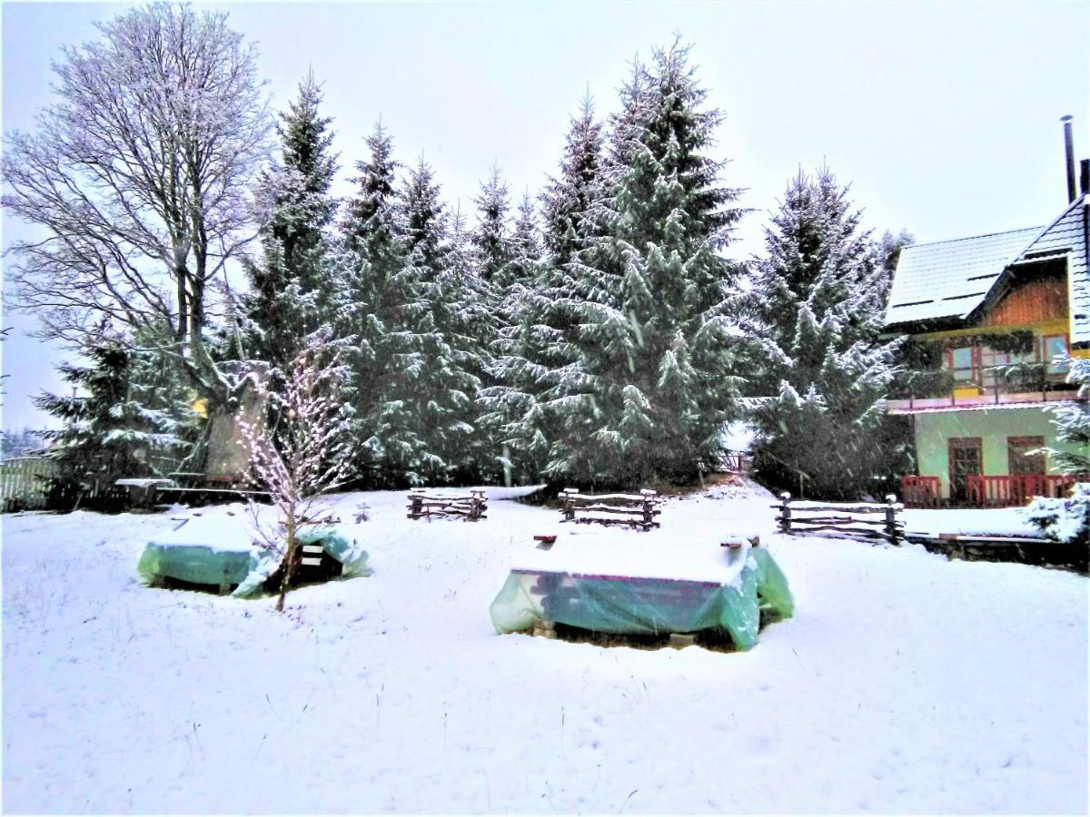 Casa Paltin Vila Si Cabane Poiana Stampei Exterior foto