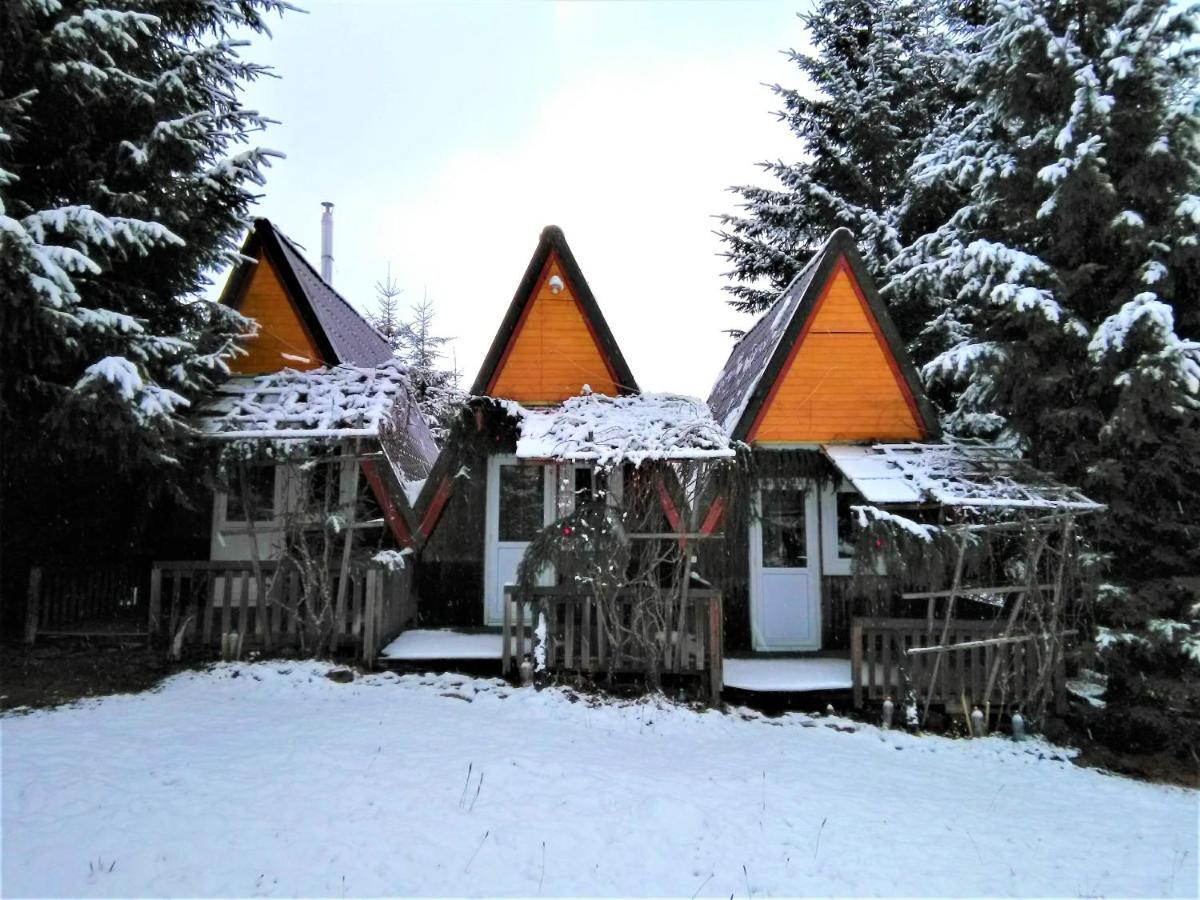 Casa Paltin Vila Si Cabane Poiana Stampei Exterior foto